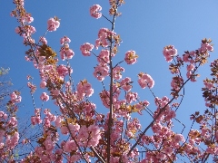 Original Size: 480 x 360, 131KB