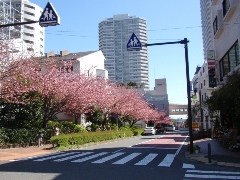 Original Size: 480 x 360, 114KB