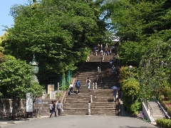 Original Size: 480 x 360, 143KB