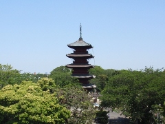 Original Size: 480 x 360, 83KB