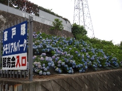 Original Size: 480 x 360, 112KB