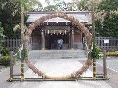 Original Size: 480 x 360, 118KB