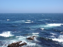 Original Size: 480 x 360, 87KB