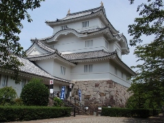 Original Size: 480 x 360, 121KB