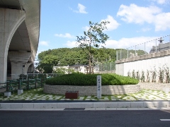 Original Size: 480 x 360, 90KB