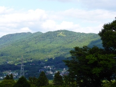 Original Size: 480 x 360, 83KB