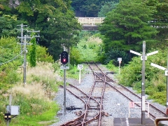 Original Size: 480 x 360, 145KB