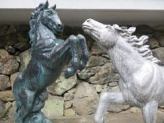 Original Size: 640 x 480, 65KB