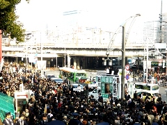 Original Size: 512 x 384, 152KB