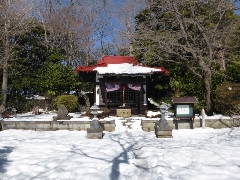 Original Size: 512 x 384, 139KB