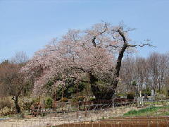 Original Size: 320 x 240, 19KB