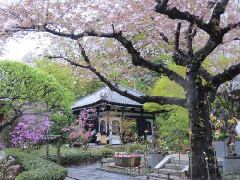 Original Size: 500 x 375, 69KB