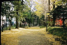 �V�h�䉑�U���H