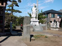 �����܂���݂����W