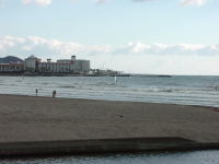 �ޖ؍��C��