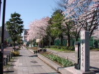 �ߌ��}���ّO