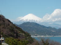 �����������R